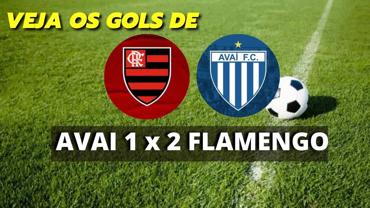 GOLS - Avaí 1 x 2 Flamengo | Campeonato Brasileiro 2022