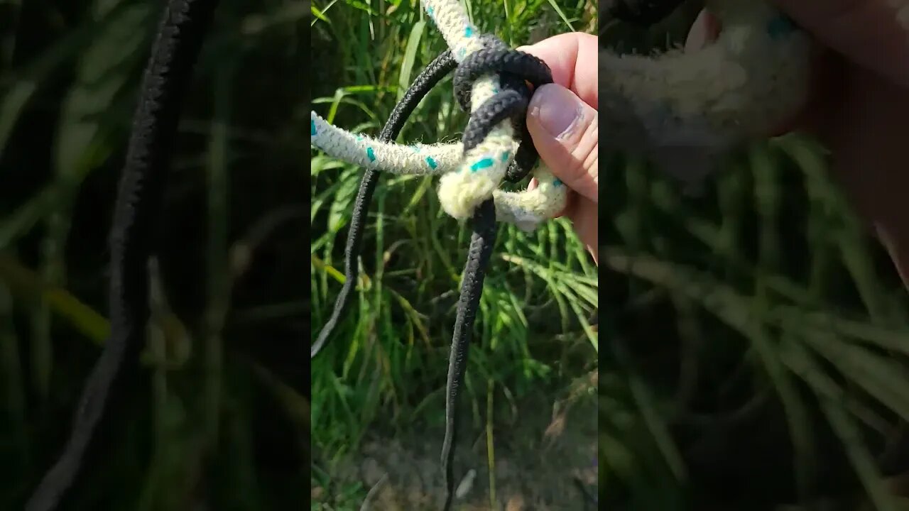 Sansome Bend (knots)