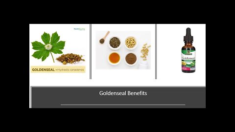 Goldenseal Benefits