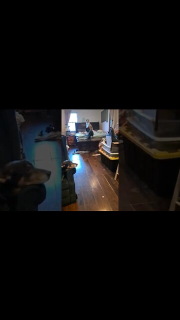 The old and the young