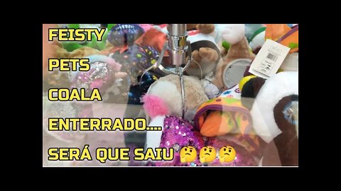 FEISTY PETS COALA ENTERRADO, SERÁ QUE VEIO 😱😱😱