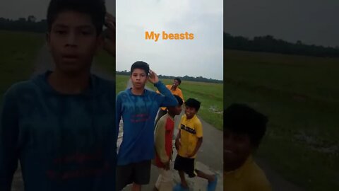 beast