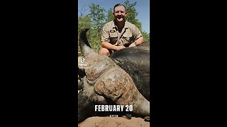 Africa hunting
