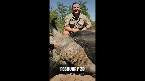 Africa hunting