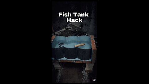 DIY Fish Aquarium