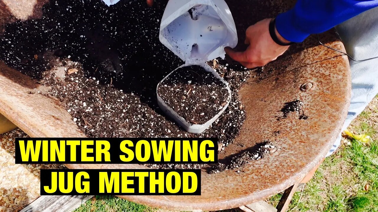 Winter sowing jug method