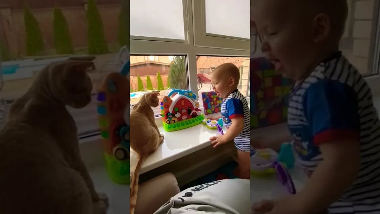 So Cute: Cat and Baby Boy Playtime😻🥰 #Shorts #Shortsfeed #Youtubepets_&_animals