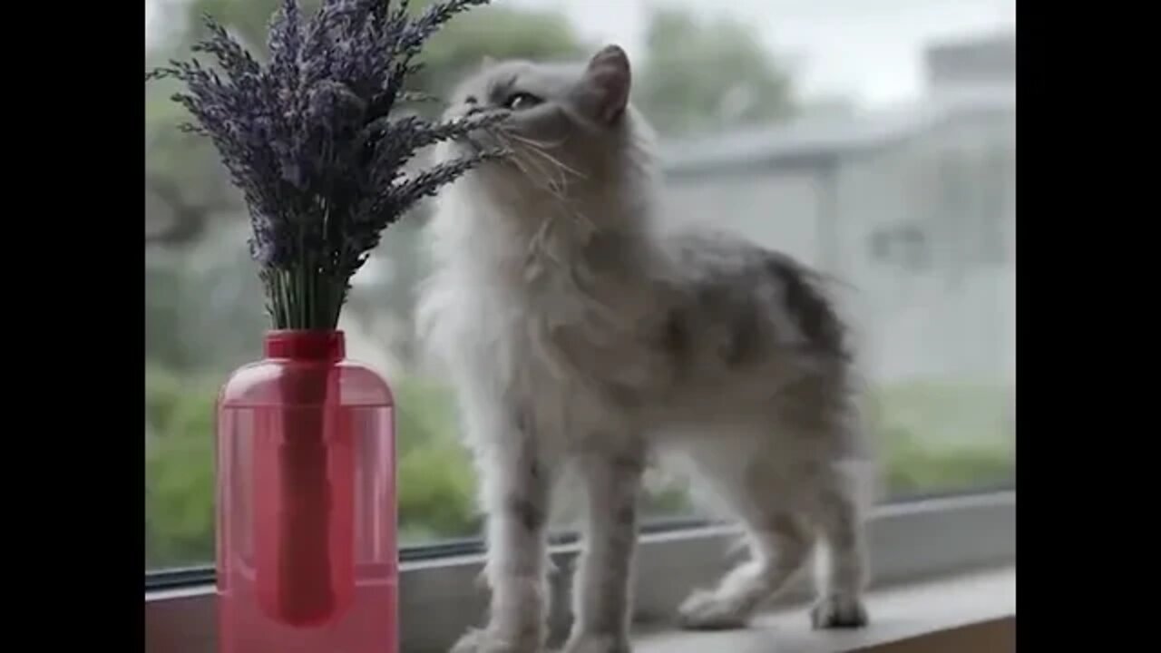 Samsung has a flower vase that can put out a fire in seconds tiktok gigadgetsofficial