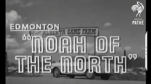 A zoo near Edmonton in 1963