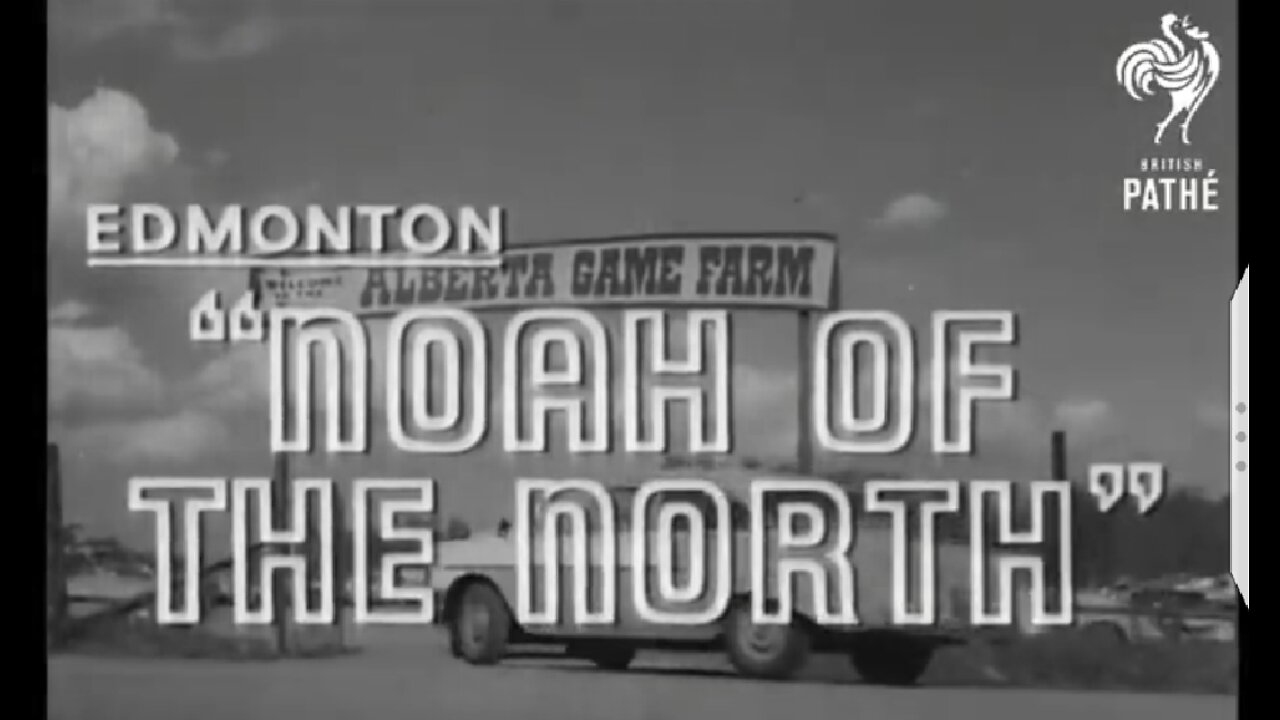 A zoo near Edmonton in 1963