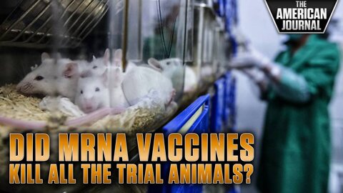 Did mRNA Vaccines Kill All Test Animals? -