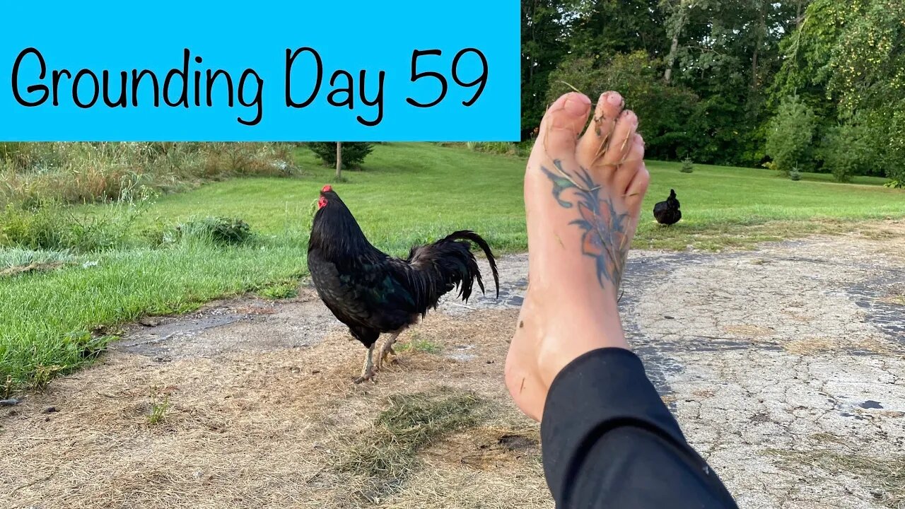 Grounding Day 59 - return of the Roo