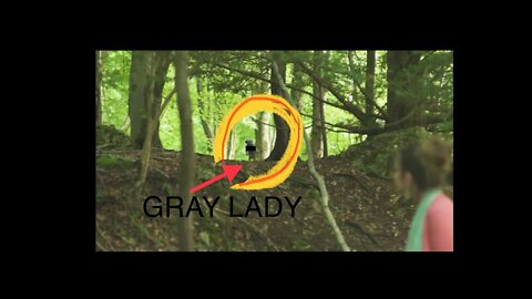 FOREST …GRAY LADY