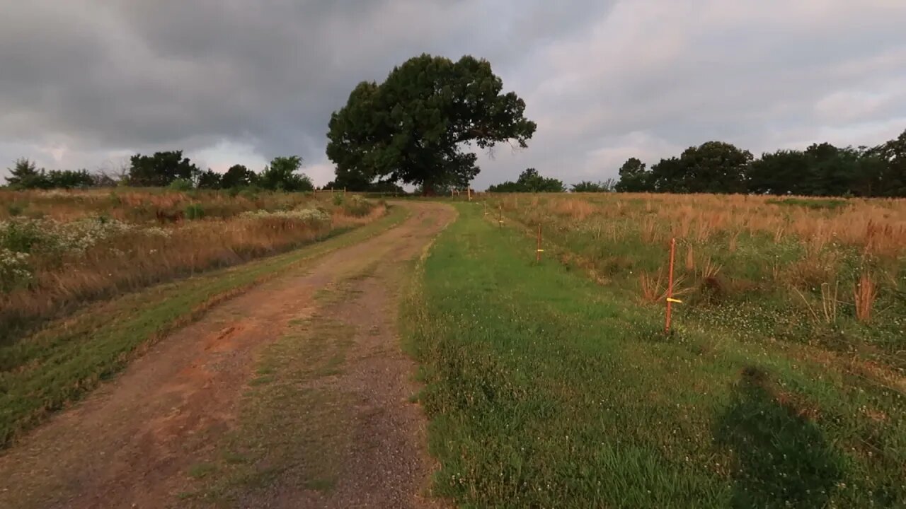 Pasture Comparison: Goat vs no Goat Impact