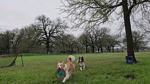 The three amigos and their Frisbee