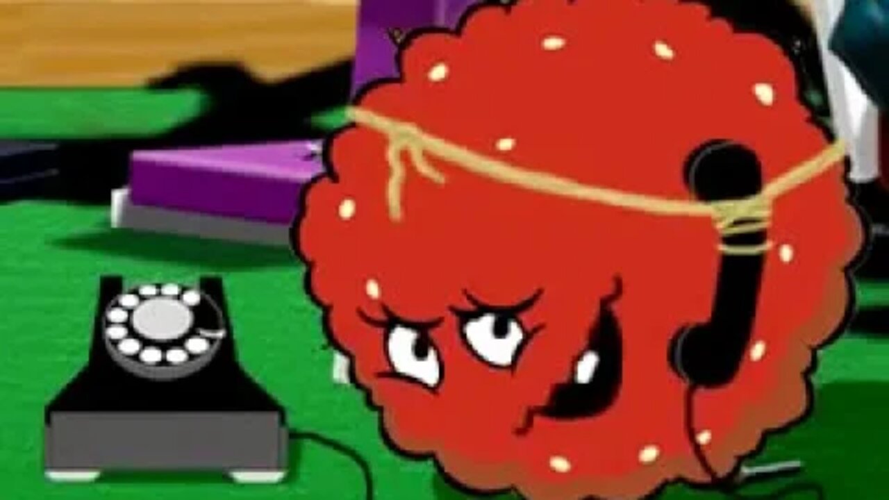 Aqua Teen Hunger Force Meatwad Interview