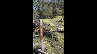 Deer Flat