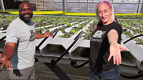 We Visited An Urban Hydroponic Farm | Snuck Farm