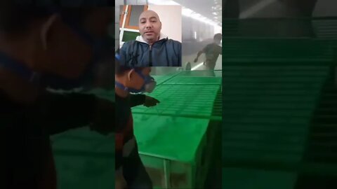 طريقة صباغة الحواجز الحديدية | #shorts ♥️