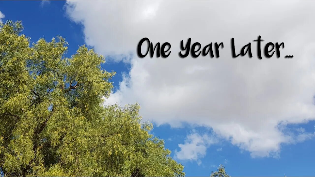 Vlog: One Year Later