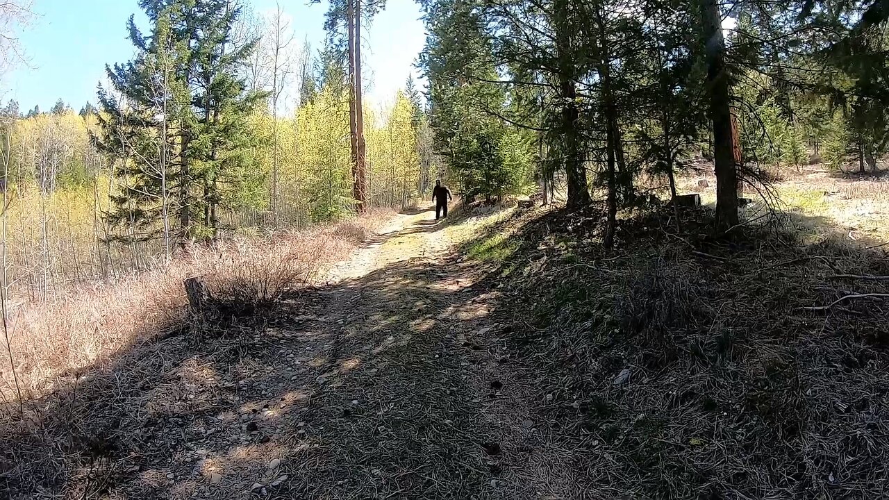 Angry Sasquatch Spotted (goes wrong)