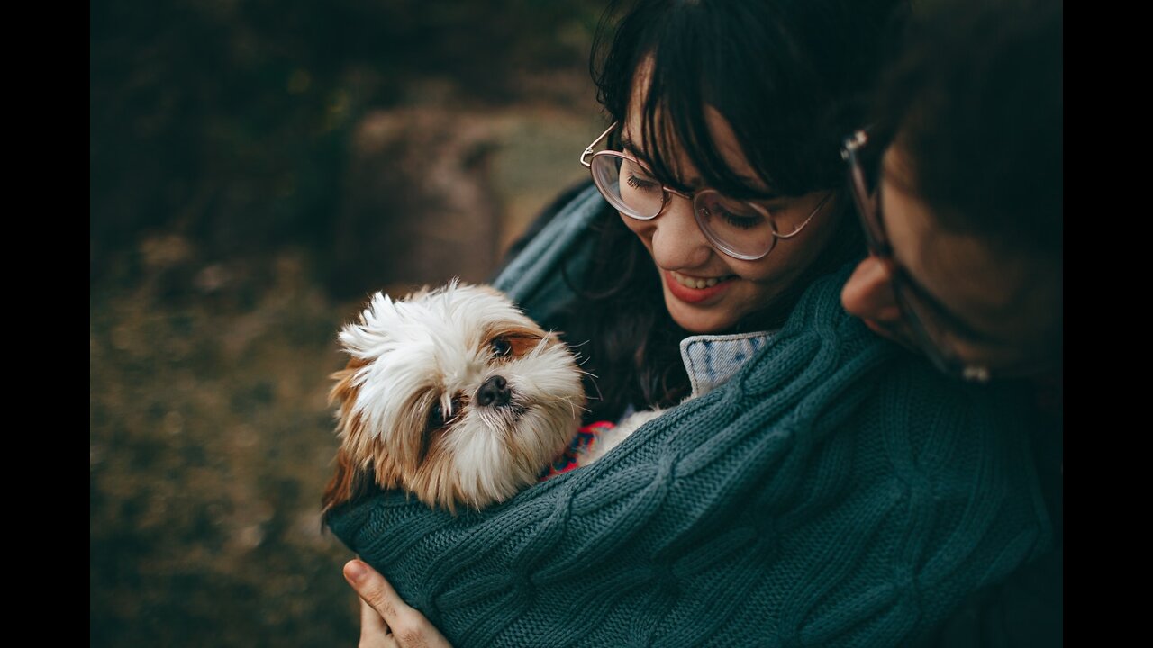 latest dogs love with romance trending viral video