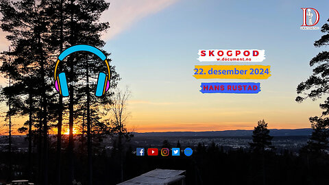 Skogpod 22. desember 2024