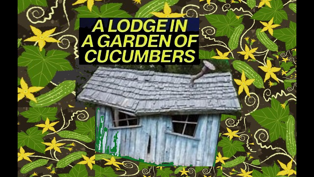 AS A LODGE IN A GARDEN OF CUCUMBERS #157 LCM