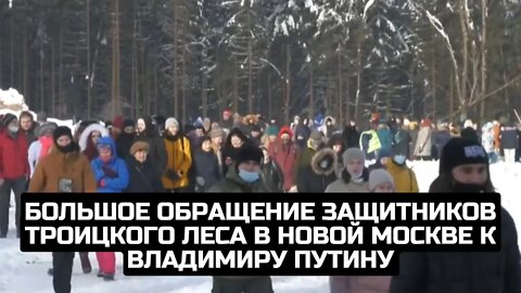 Большое обращение защитников Троицкого леса в Новой Москве к Владимиру Путину