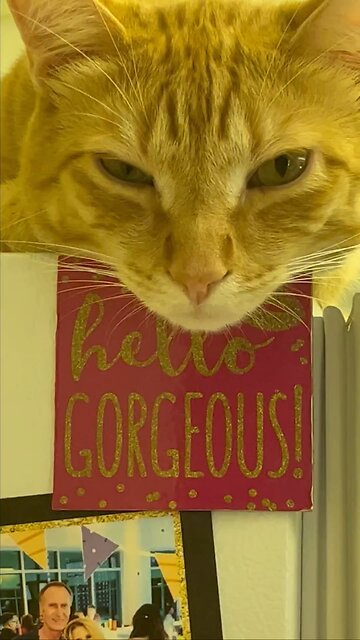 it’s a lovely day today