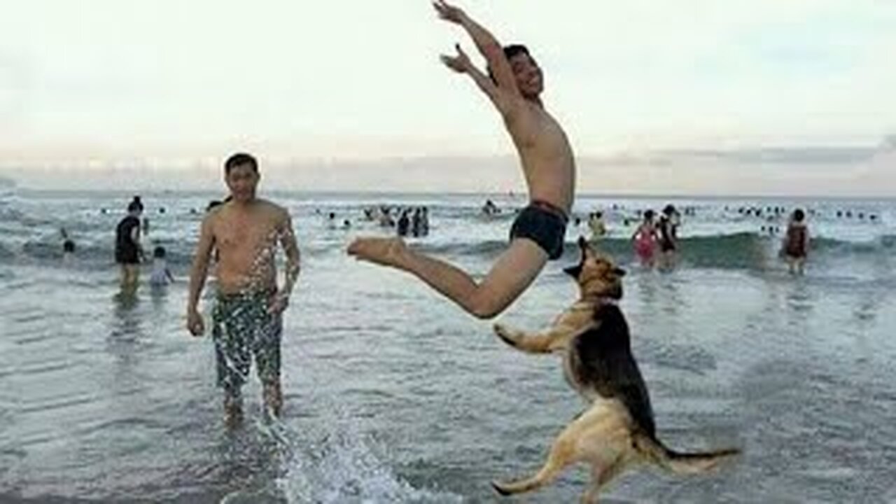 From fails to laughs: The ultimate funny moments compilation!, Laugh Out Loud