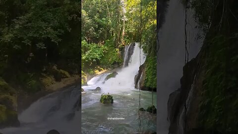 Ys Falls St.Elizabeth #shortsvideo #shortsfeed #nature #jamaica #shorts