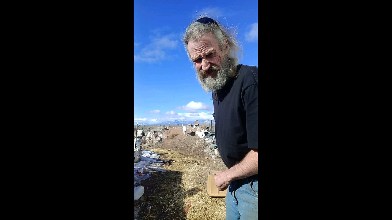 The Enemy is within the gates