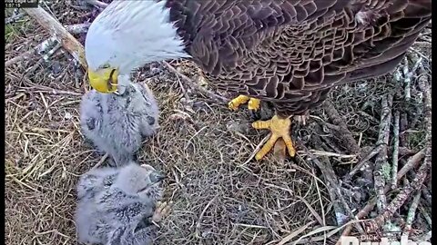 E19 and E20are waiting for Mom to bring home lunch. 1-11-22