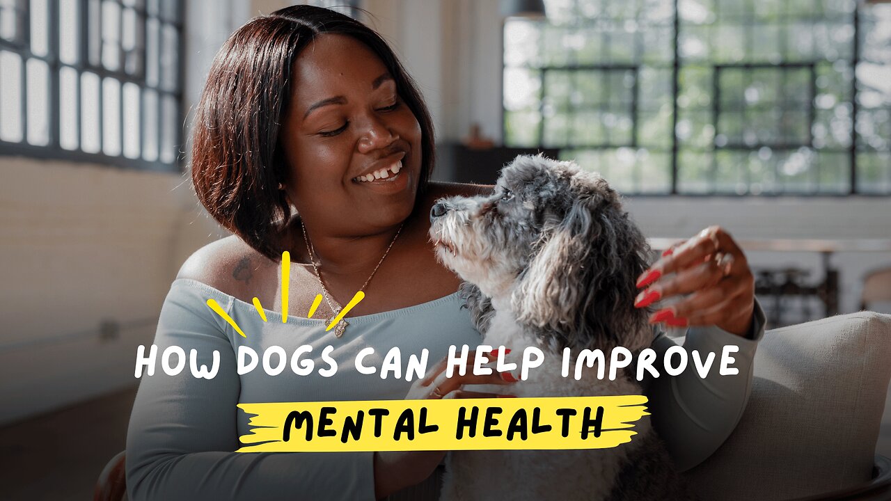 How Dogs Can Help Improve Mental Health