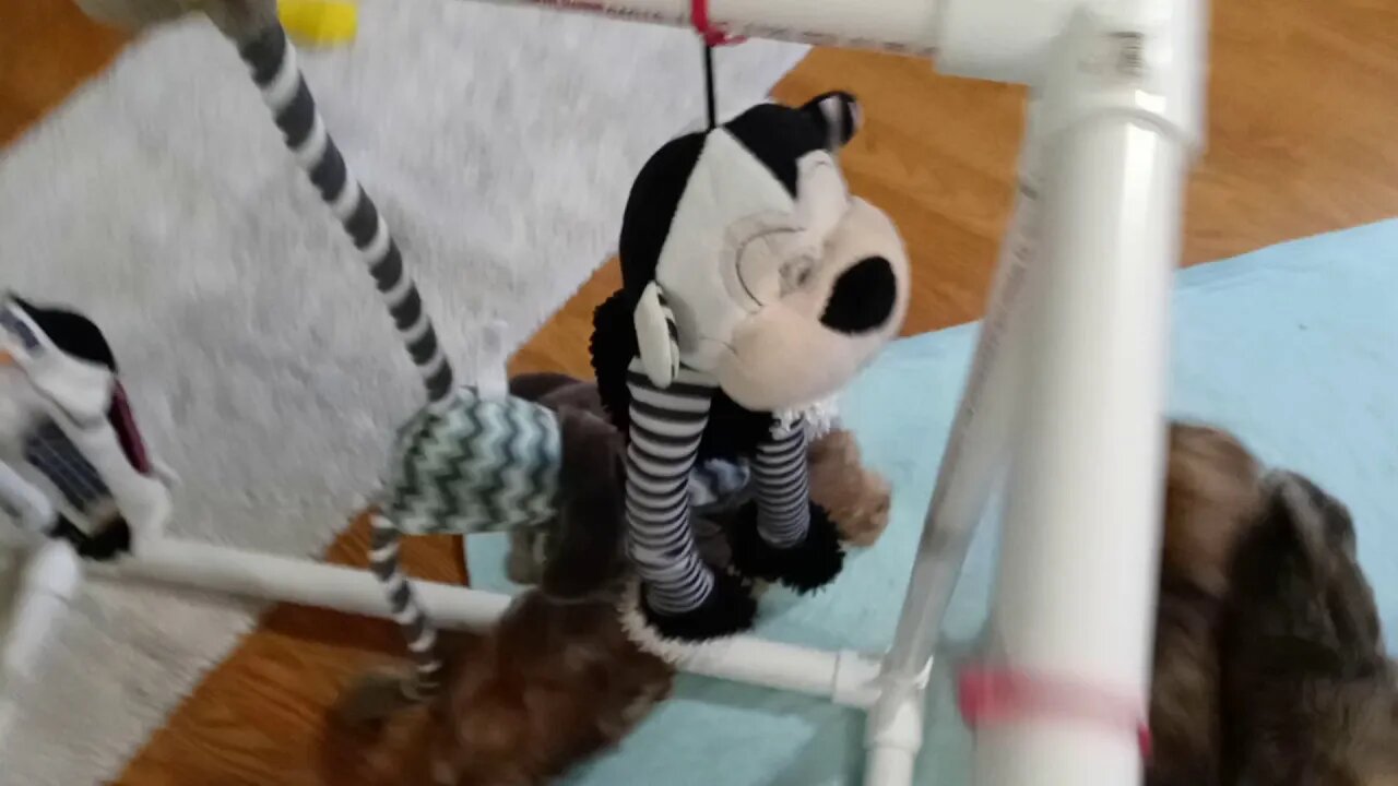 J Litter - Ripp'n & Runn'n(2)