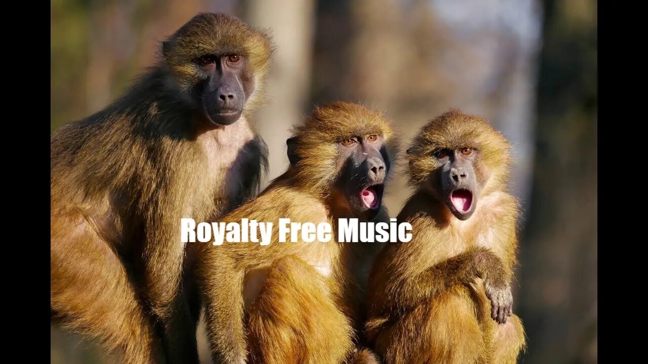 Static Scream – dark electronica, breakbeat, pounding drums(Royalty Free) (Royalty Free Music)