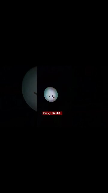 Haunted Mansion Holiday #adventurezwithpaul #halloween #disneyland