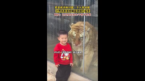 Funny animals with kid