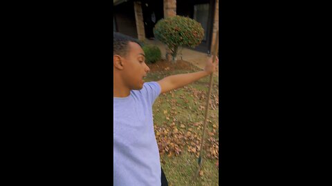 Racking up the leaves
