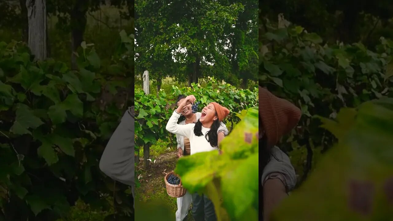 Food video #shorts #youtube #youtubeshorts