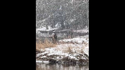 Perfect Winter Steelhead Trout Fishing Weather