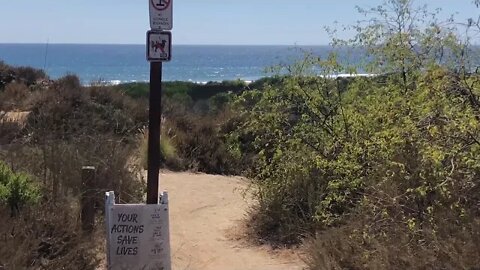 Ocean Is The Best Medicine ⚕️