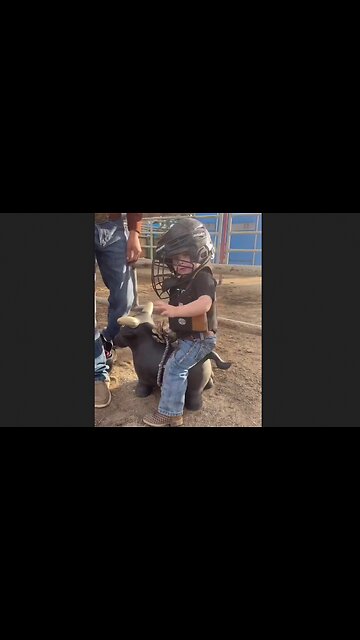 Mount Him Up! - It Just Does Not Get Any Cuter Than This - HaloRockNews