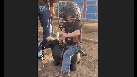 Mount Him Up! - It Just Does Not Get Any Cuter Than This - HaloRockNews