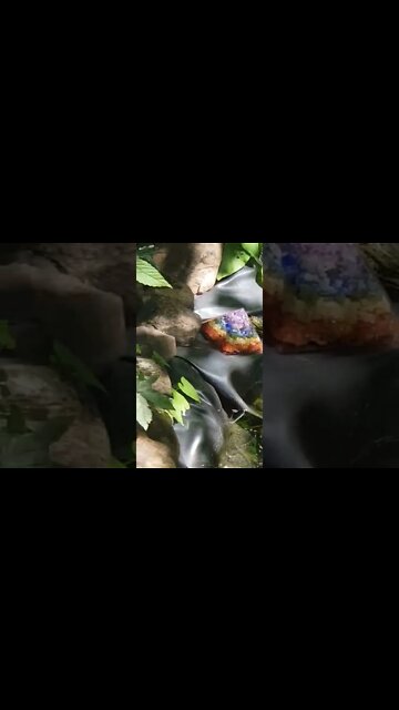 Minute Zen pour Madame La Grenouille au Bassin des Orgonites