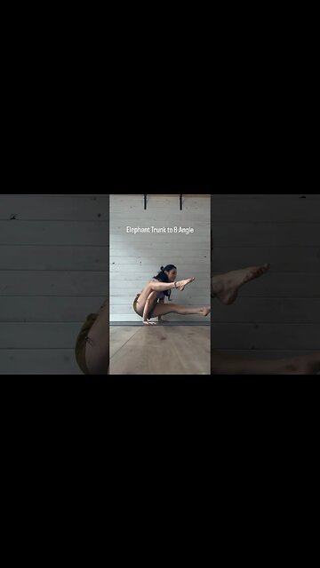 Elephant Trunk to 8 Angle Arm Balances 🩵