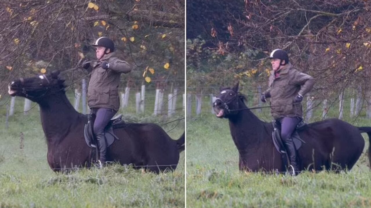 Prince Andrew Calms Spooked Horse