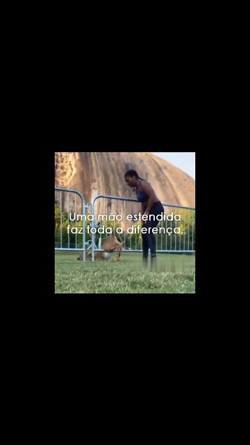 QUANDO VOCÊ QUER AJUDAR MAS NÃO SABE COMO