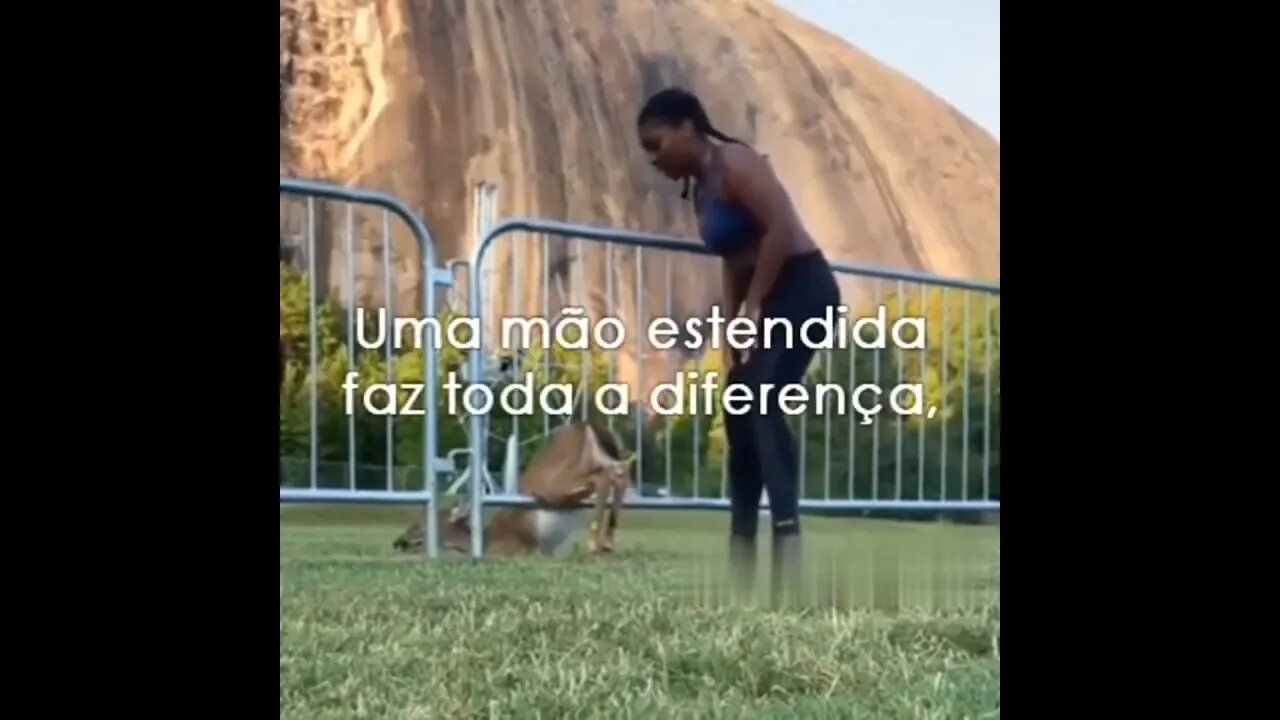 QUANDO VOCÊ QUER AJUDAR MAS NÃO SABE COMO